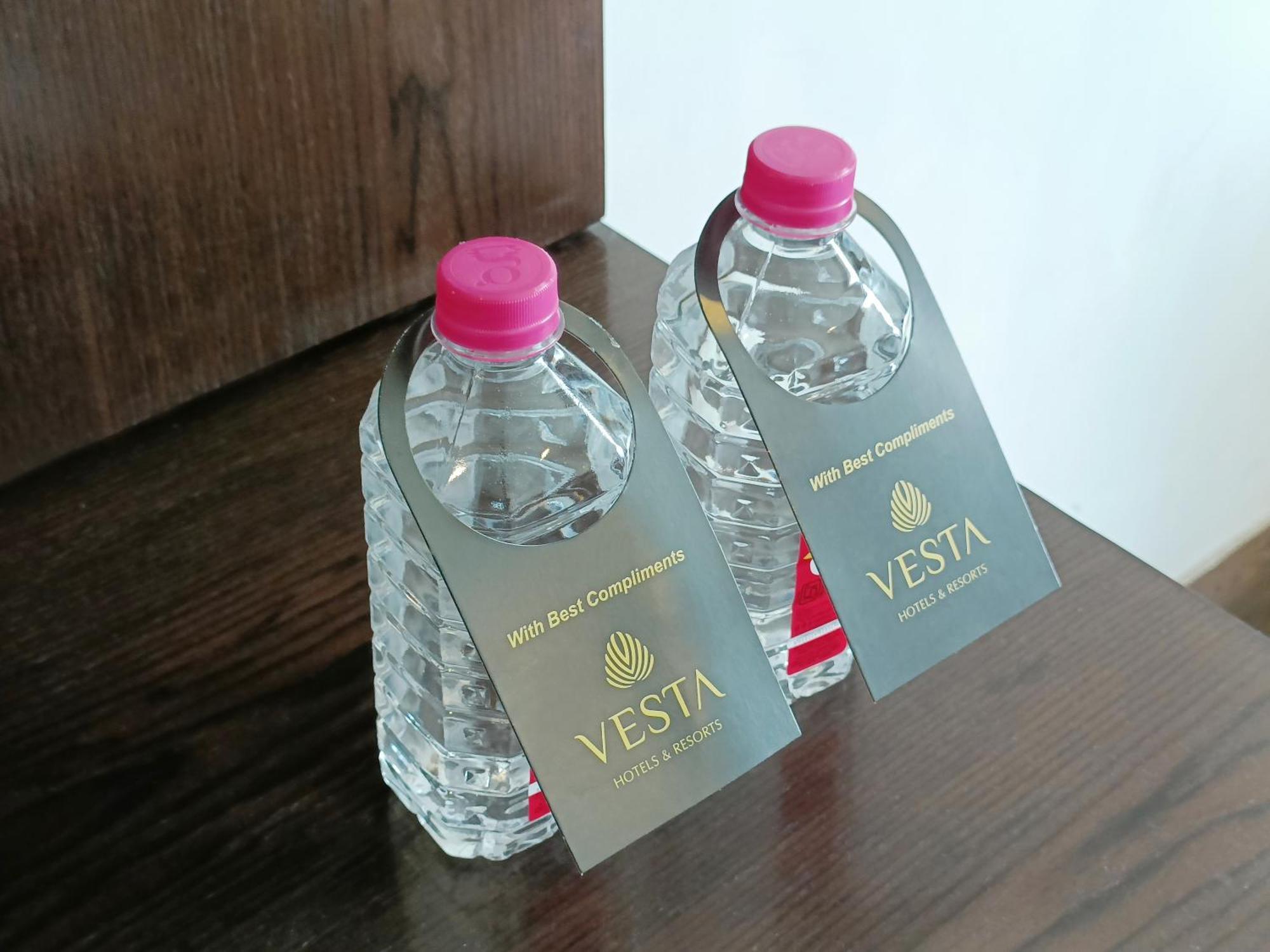 Vesta Grand Central Udaipur Extérieur photo